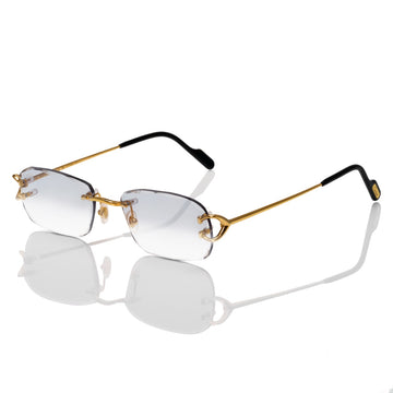 CARTIER CT0344O Grey Custom By prince