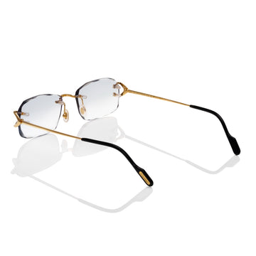 CARTIER CT0344O Grey Custom By prince