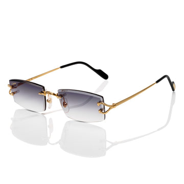 CARTIER CT0488O Custom by Prince