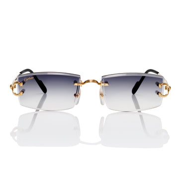 CARTIER CT0488O Custom by Prince