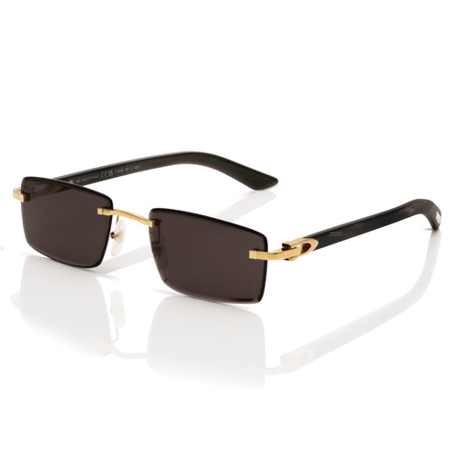 Cartier CT0582S 001