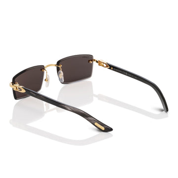 Cartier CT0582S 001