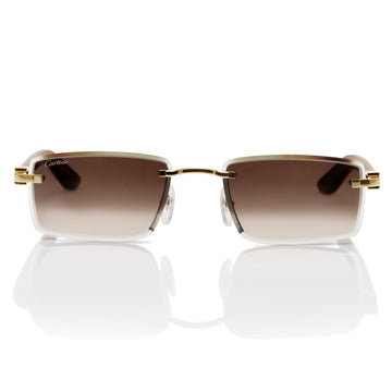 Cartier CT0582S 003