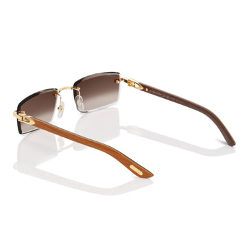 Cartier CT0582S 003